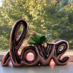 Metal rose gold love sign with fake succulent
